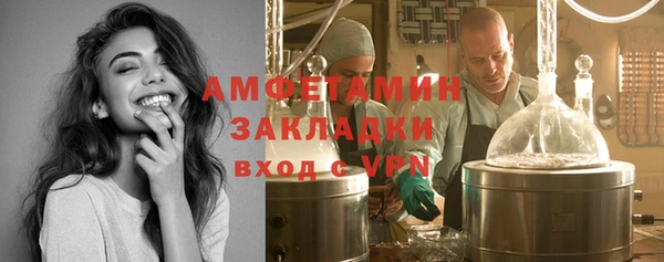 крисы Вязьма