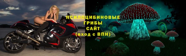ГАЛЛЮЦИНОГЕННЫЕ ГРИБЫ Вязники