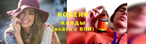 крисы Вязьма
