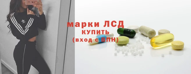 ГАЛЛЮЦИНОГЕННЫЕ ГРИБЫ Вязники