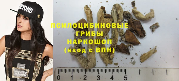 каннабис Гусиноозёрск
